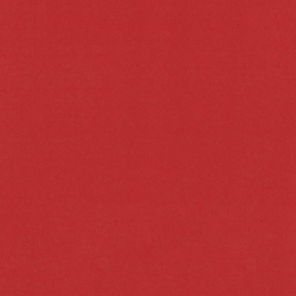 Colore Copertina Tesi - AppleSkin Pattern Rosso Lampone
